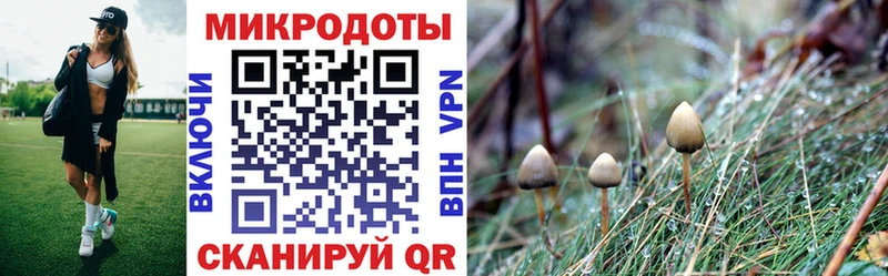 закладки  Кузнецк  Галлюциногенные грибы прущие грибы 