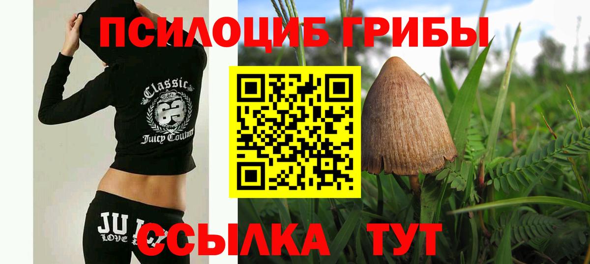 Галлюциногенные грибы мицелий Кузнецк