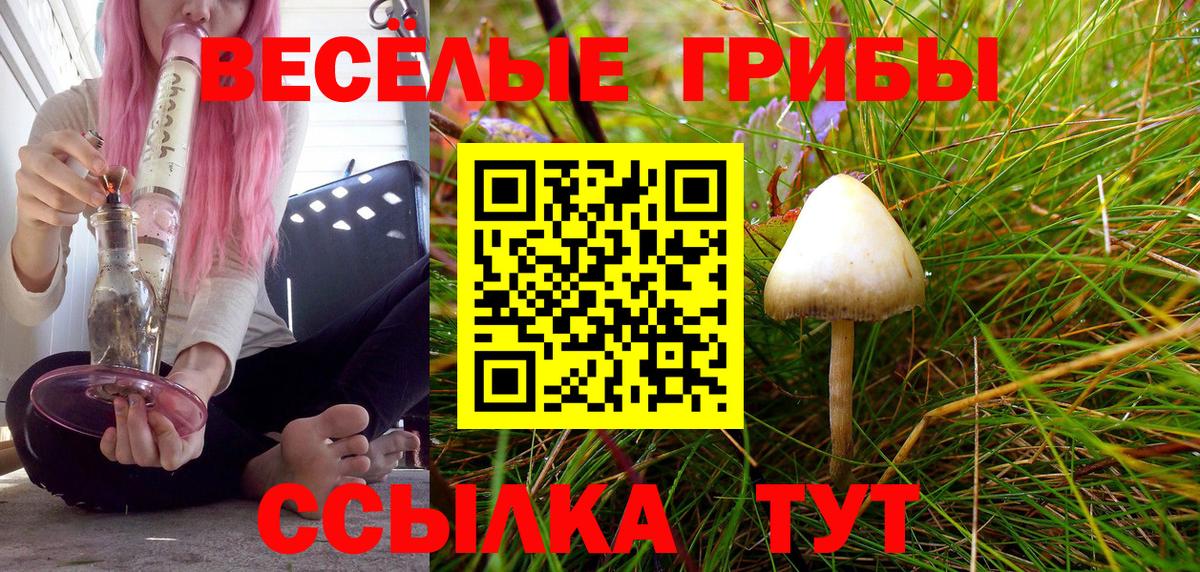 Кузнецк  Псилоцибиновые грибы ЛСД  купить  цена  Вход с VPN 