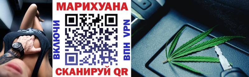 Конопля сатива  как найти наркотики  Кузнецк 